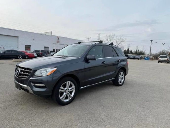 2013 Mercedes-Benz M-Class ML350 BLUE